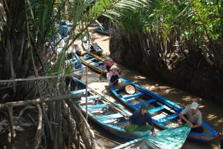 Mekong Delta